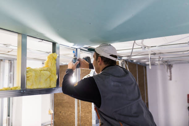 Best Spray Foam Insulation  in Terryville, NY
