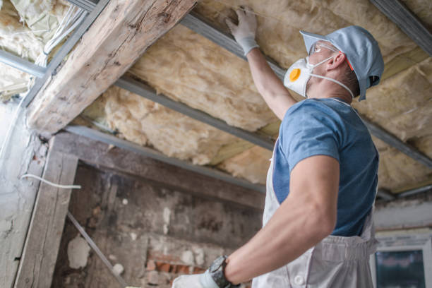 Best Energy-efficient Insulation  in Terryville, NY