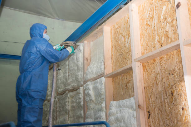 Best Insulation for New Construction  in Terryville, NY